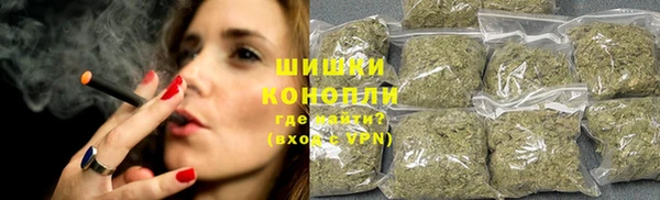 крисы Арсеньев