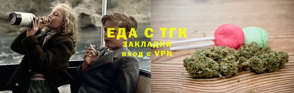 хмурый Аркадак