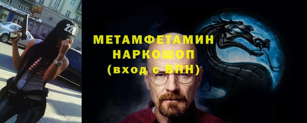 хмурый Аркадак