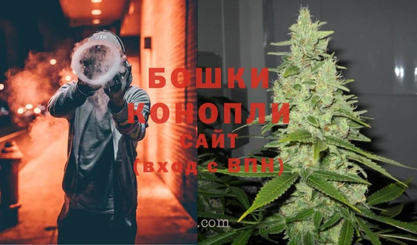хмурый Аркадак