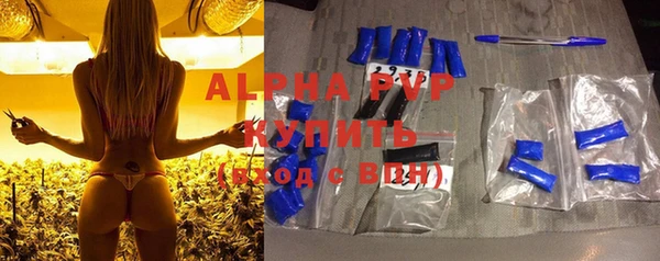 хмурый Аркадак