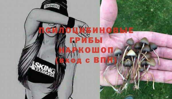крисы Арсеньев