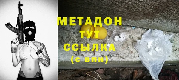 хмурый Аркадак