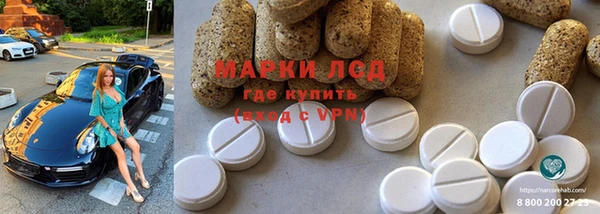хмурый Аркадак